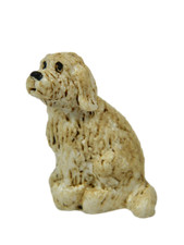 Cane Pastore per Pastori Alti