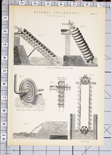 1886 stampa filosofia - stampa, naturale