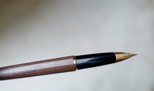 Raro penna stilo - penna, waterman
