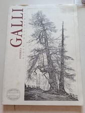 Federica Galli alberi