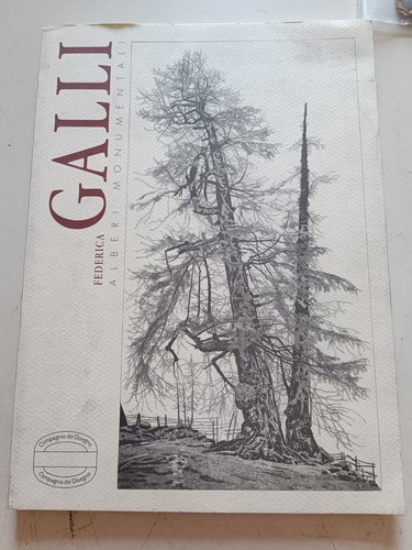 Federica galli alberi - federica,