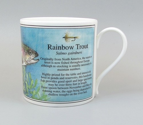 Ashley tazza riverside - ashley,