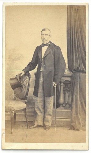245 cdv albumin - albumin, carte
