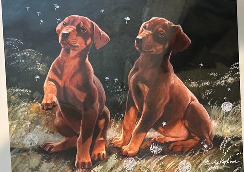 Doberman pinscher puppies - pinscher,