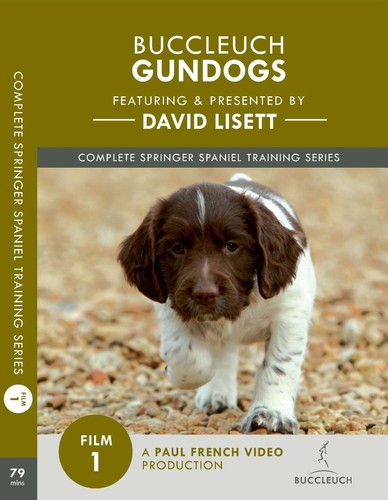 David lisett gundog - training,