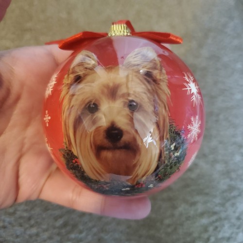 Pet yorkie natale - yorkie, natale/vacanze