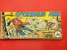 Ragazzo nel Far West