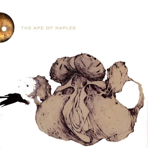 Coil the ape naples - -,