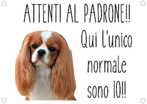 Targa cartello attenti cane - attenti,