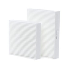 RIDEX 424I0091 Filtro