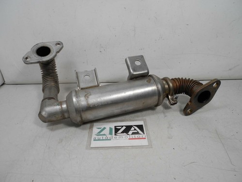Radiatore egr ford focus - ford,