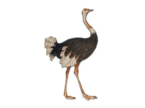 Spilla emu stampata miniblings - spilla,