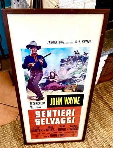 Sentieri selvaggi john - sentieri,