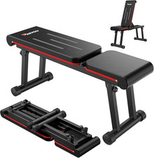 Panca Piana Palestra, Panca