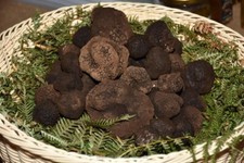 Tartufo nero fresco invernale - tartufo,