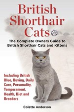 British Shorthair Cats, The