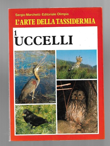 Arte della tassidermia - l'arte,