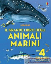 9781836063162 Minna Lacey Il