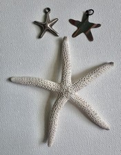 Charm stella marina e vera