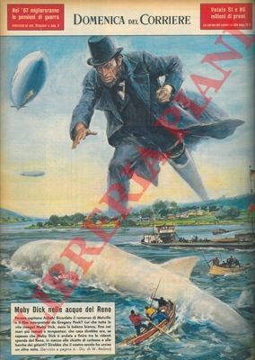 Molino moby dick - w.,