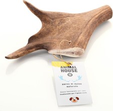 Animal House Corna di Daino