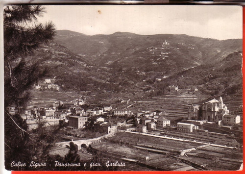 Cartolina calice ligure - ,