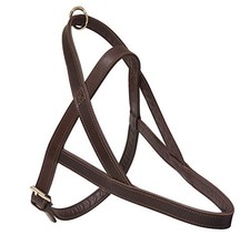 (TG. 80 cm) Croci C5061193