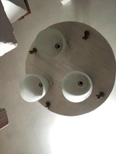 Lampadario shabby bianco - lampadario,