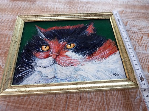 Dipinto gatto vetro - dipinto,