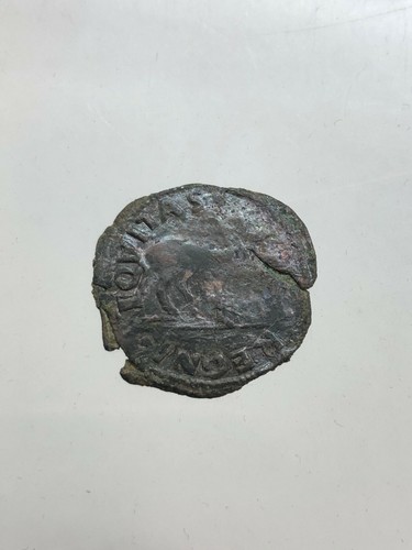 Ferdinando aragona cavallo - i,
