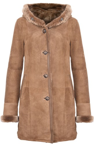 Donna elegante marrone - donna,