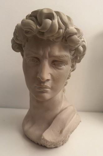 Scultura testa davide - testa,
