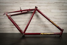 19" Specialized Rockhopper