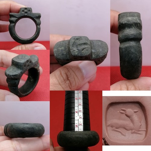 Anello antico lupo romano