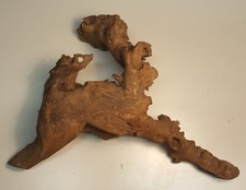 radice naturale mangrovia terrario acquario tronco tana pesci tartaruga serpente