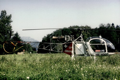 Foto anni eliticino - foto,