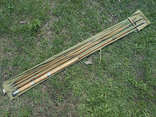 Canna bambù hardy doppio - canna,