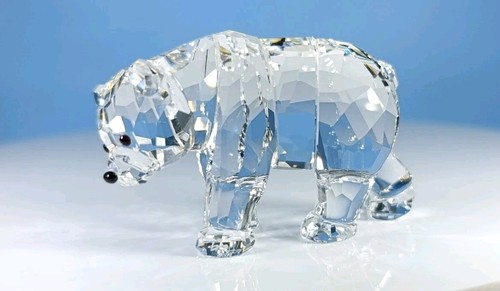 Sorella orso polare scs - sorella,