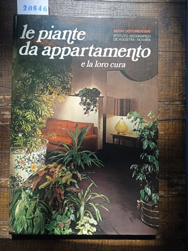 Piante appartamento e - appartamento,