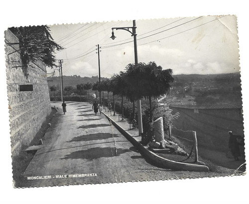 Moncalieri torino viale - -,
