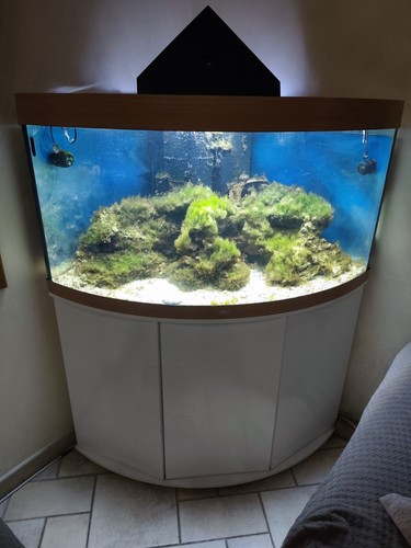 Acquario juwel trigon 350 - acquario,