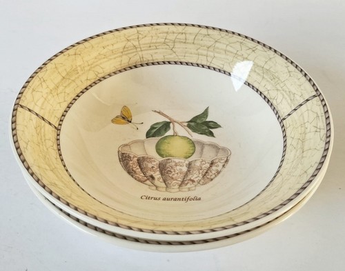 Wedgwood ciotole per cereali - wedgwood,