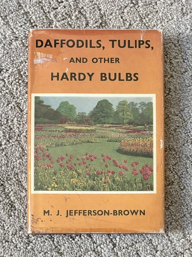 Daffodils tulips and - tulips,