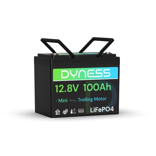 Dyness batteria litio - al, 12v