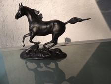 Cavallo di bellezza nero di