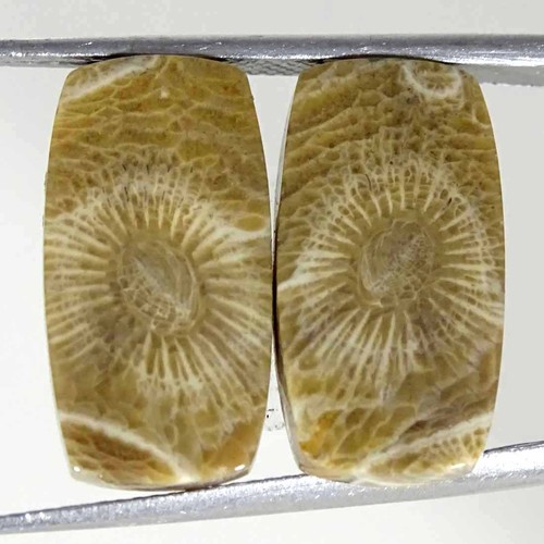 20cts coppia gemme cabochon - gemme,