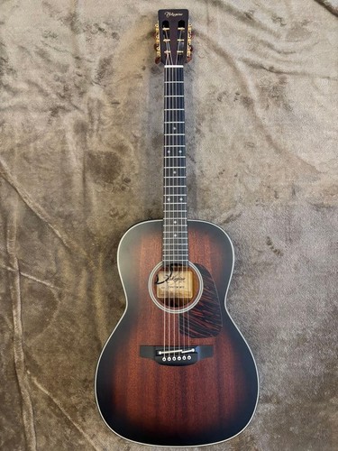 Chitarra elettrica acustica