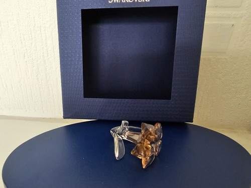 Swarovski scs 2021 rinnovo - scs,