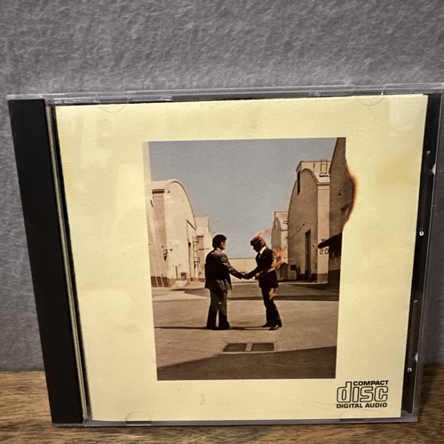 Pink floyd wish - -, you
