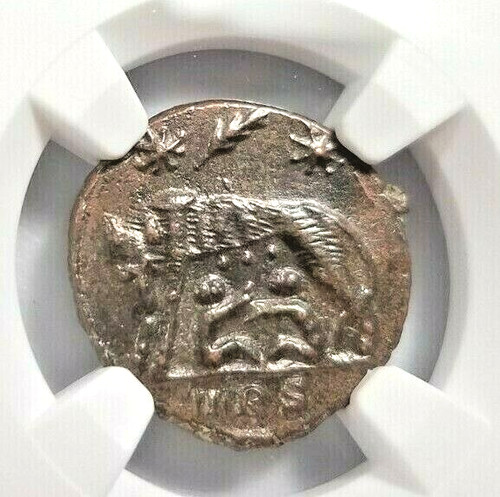 She wolf twins costantine ngc - she-wolf,